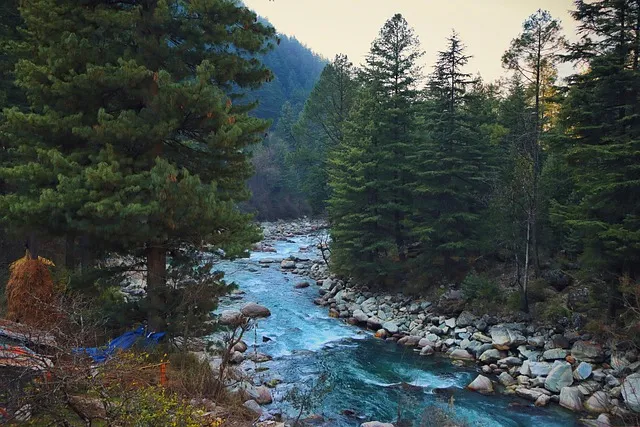 Kasol Kheerganga Trek Package