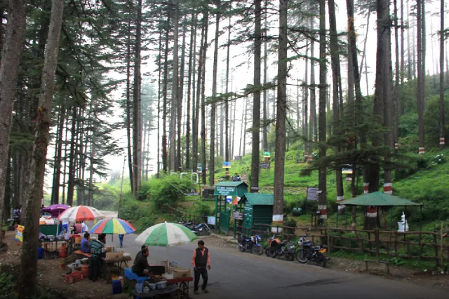 Mussoorie & Dhanaulti Tour Package